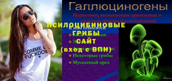 меф Арсеньев